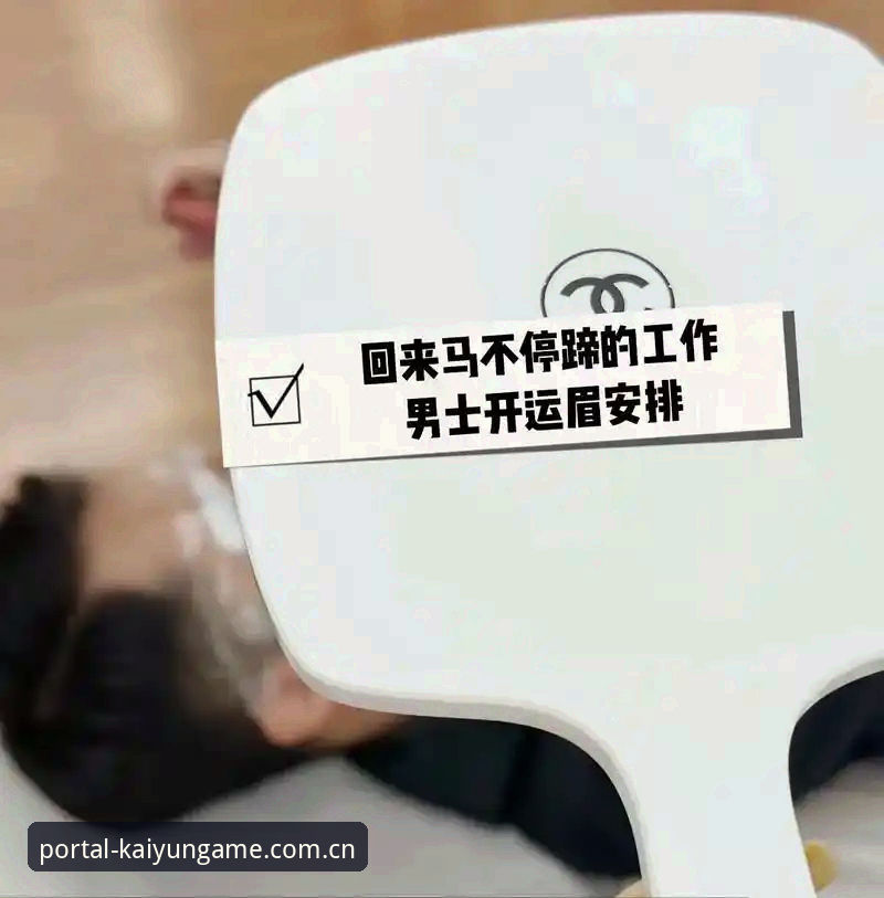 新手必看：3个维度对比kaiyun体育使用教程，助你快速上手v2.3.0